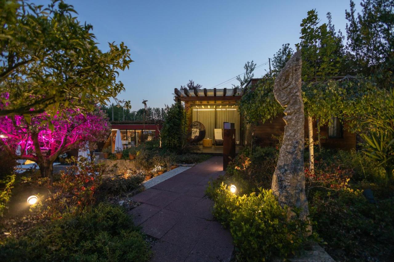Vale De Sao Torcato Hotel Rural 吉马良斯 外观 照片